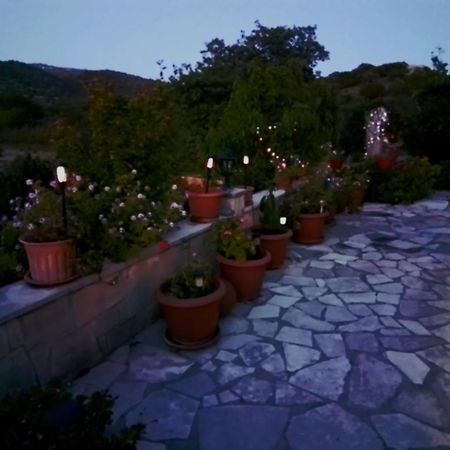 Apartamento Despina Country Retreat Paphos Exterior foto